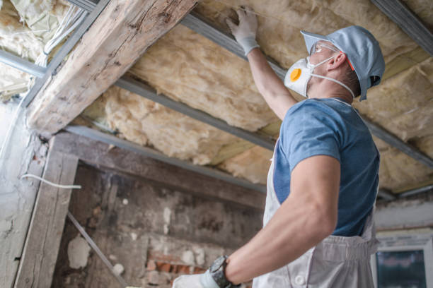 Best Insulation for Specific Applications in Opa Locka, FL