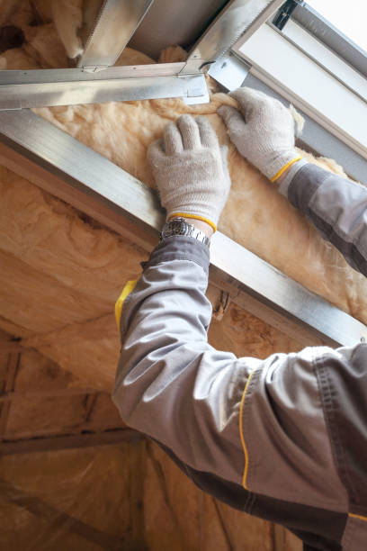 Best Residential Insulation in Opa Locka, FL