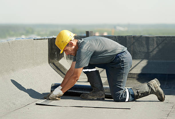 Best Residential Insulation in Opa Locka, FL