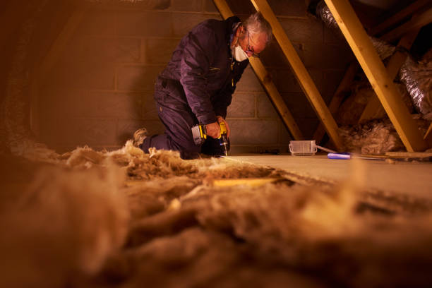 Types of Insulation We Offer in Opa Locka, FL